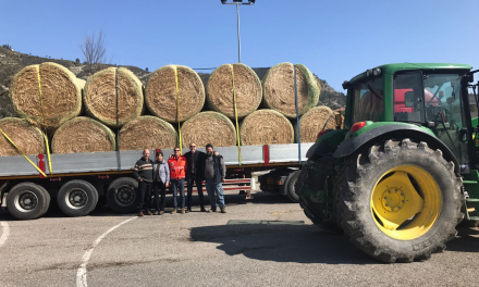 VICARELLO SOLIDALE ANCORA UNA VOLTA: DONATI ALLE ZONE TERREMOTATE ROTOLI DI FIENO E PAGLIA