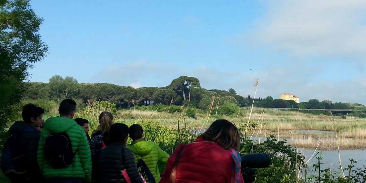 GIORNATA DI BIRDWATCHING TRA BOSCHI E LAGHI DELLA TENUTA INSUESE CON L’ASSOCIAZIONE GAIA