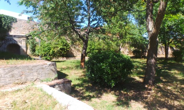 CITTADINANZA ATTIVA: IL PRESIDENTE DEL CDF DI NUGOLA LIUNI ESPONE LE LINEE GUIDA DEL PROGETTO PRESENTATO PER LA FRAZIONE