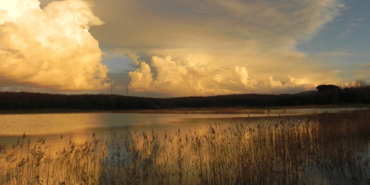 FOTOGRAFARE LA NATURA AL TRAMONTO E ALL’ALBA. WEEK-END CON GAIA NELLA TENUTA INSUESE