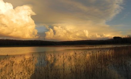FOTOGRAFARE LA NATURA AL TRAMONTO E ALL’ALBA. WEEK-END CON GAIA NELLA TENUTA INSUESE