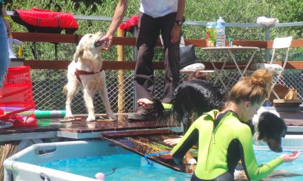 A STAGNO LA PRIMA PISCINA PER CANI DELLA FRAZIONE