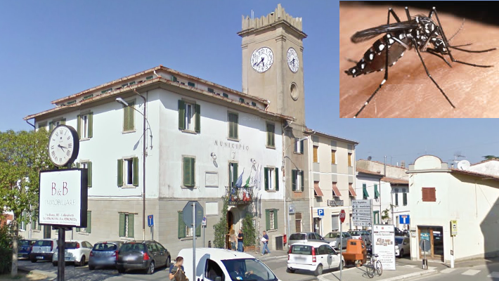 IL COMUNE EMANA UN’ORDINANZA ANTI-ZANZARE: “É INDISPENSABILE LA PIENA COLLABORAZIONE DEI CITTADINI”