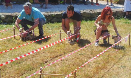 A GUASTICCE É FESTA GRANDE CON I NOSTRI AMICI A 4 ZAMPE. A CA’ LO SPELLI LE CHIUAPIADI, LE OLIMPIADI DEL CHIHUAHUA