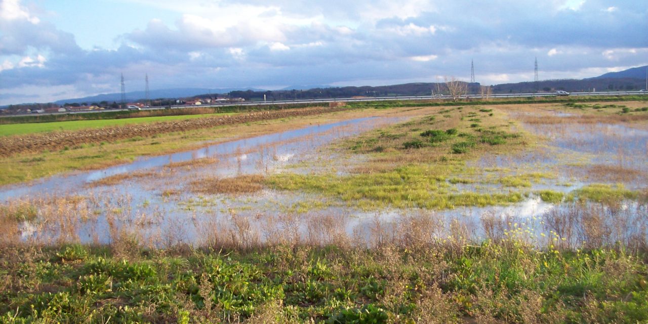 IL MALTEMPO CREA DISAGI E CRITICITÀ SU TUTTO IL TERRITORIO REGIONALE (QUELLO COLLIGIANO COMPRESO)