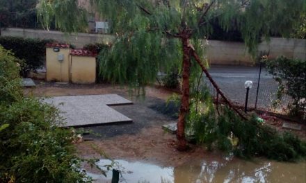 VENTO FORTE, È CODICE ARANCIONE SU TUTTA LA REGIONE