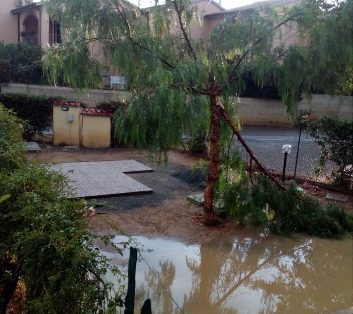 VENTO FORTE, È CODICE ARANCIONE SU TUTTA LA REGIONE