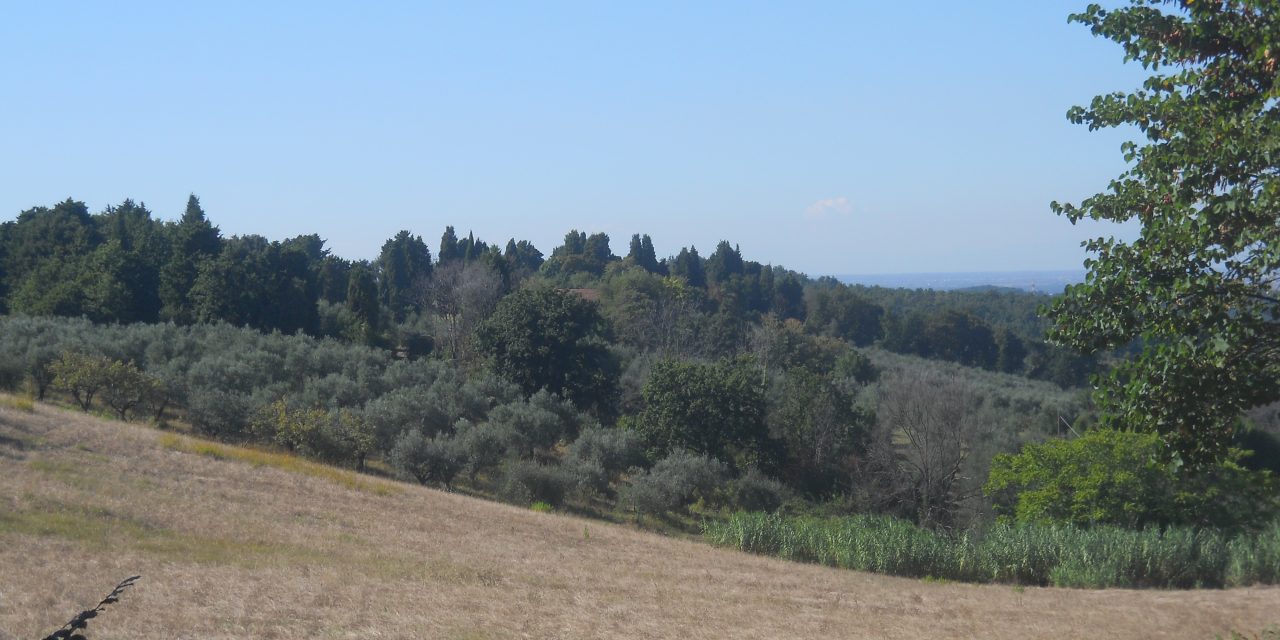 DICHIARATO LO STATO DI EMERGENZA IDRICA. IL SINDACO EMETTE UN’ORDINANZA: “LIMITATE L’USO DELL’ACQUA”