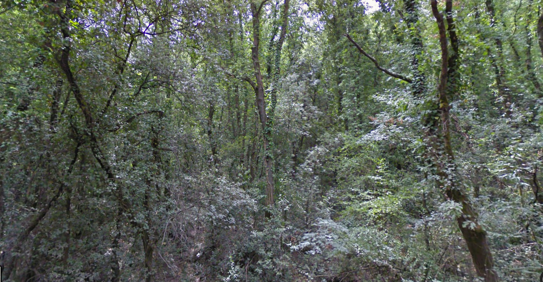 RAGAZZA CADE DA UNA ROCCIA IN UNA SCARPATA AL CORBOLONE: VOLO DI 2 METRI