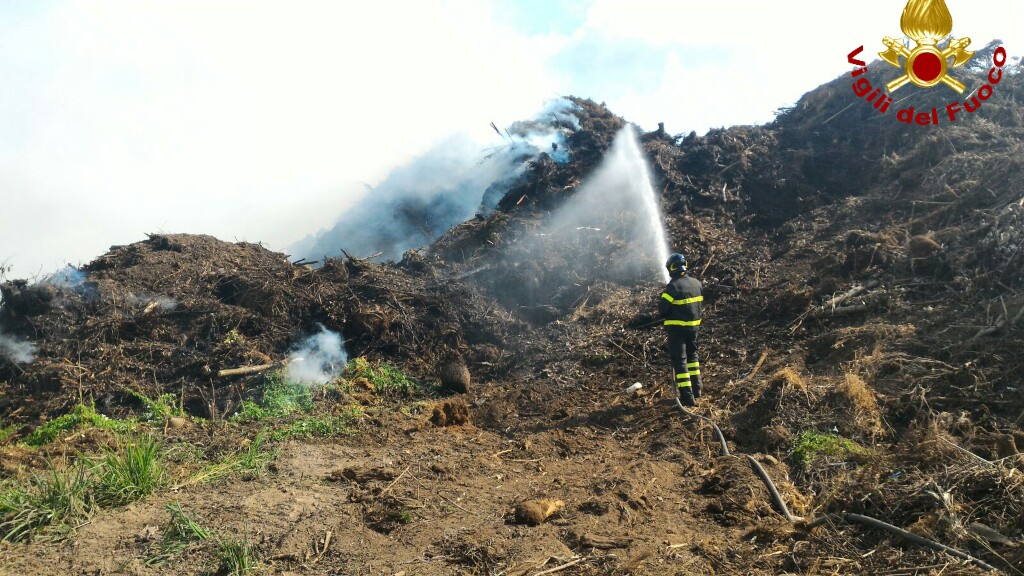 GRECCIANO: NUOVO PRINCIPIO D’INCENDIO DI VEGETALI ACCATASTATI IN DEPOSITO