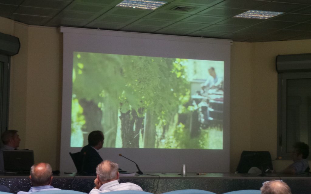 RE-INDUSTRIALIZZAZIONE: COLLEVERDE ILLUSTRA IL SUO PROGETTO PER IL TERRITORIO COLLIGIANO