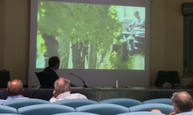 RE-INDUSTRIALIZZAZIONE: COLLEVERDE ILLUSTRA IL SUO PROGETTO PER IL TERRITORIO COLLIGIANO