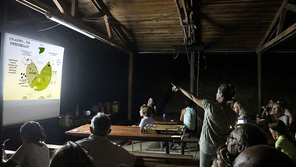 AL LAGO ALBERTO UNA SERATA ALLA SCOPERTA DELLA FAUNA NOTTURNA CON L’ASSOCIAZIONE GAIA