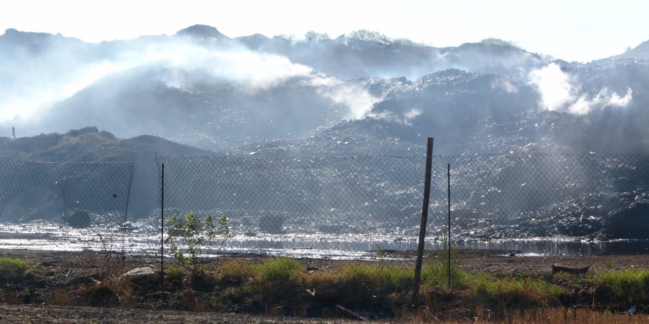 COLLESALVIAMO L’AMBIENTE: “RIDICOLA L’ORDINANZA DEL SINDACO SULL’INCENDIO DI GRECCIANO CHE ARRIVA TARDI E …”