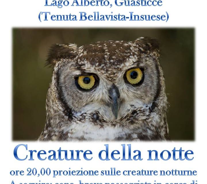 CON GAIA ALLA SCOPERTA DELLE “CREATURE DELLA NOTTE”. A GUASTICCE FRA PIPISTRELLI, RAPACI NOTTURNI E ALTRI ANIMALI