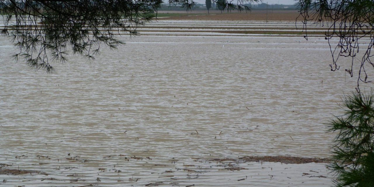 MALTEMPO, INCENDI E TERREMOTI: DALLA REGIONE 3 PROVVEDIMENTI AD HOC