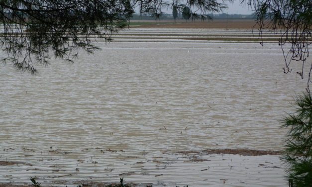 MALTEMPO, INCENDI E TERREMOTI: DALLA REGIONE 3 PROVVEDIMENTI AD HOC