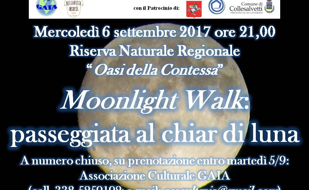 FRA NATURA E SUGGESTIONE: NELL’OASI DELLA CONTESSA PER UNA PASSEGGIATA AL CHIARO DI LUNA