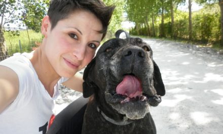 I CONSIGLI DELL’ANIMALISTA PER TUTELARE I NOSTRI AMICI ANIMALI LA NOTTE DELL’ULTIMO DELL’ANNO