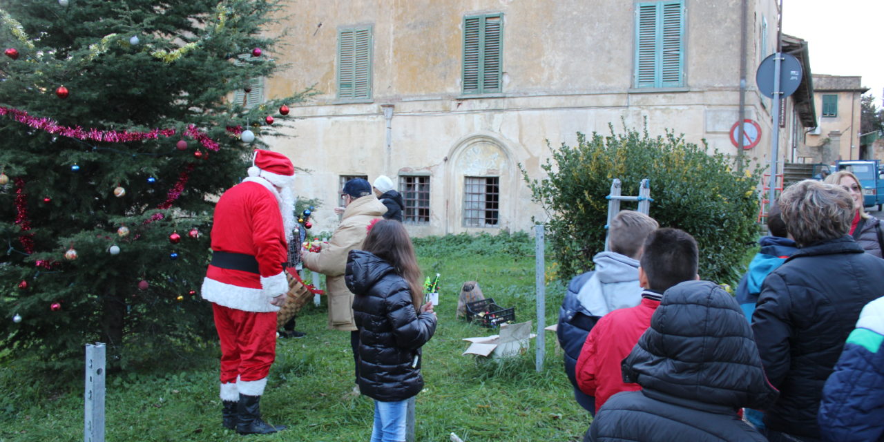 A NUGOLA I BAMBINI ALLESTISCONO L’ALBERO IN OCCASIONE DELL’ARRIVO DI BABBO NATALE