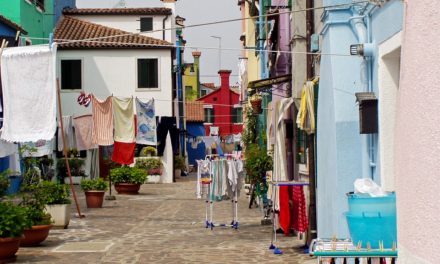 LOTTA MIRATA A STAGNO ALLA ZANZARA “OCHLEROTATUS RUSTICUS”: «RIMUOVETE LA BIANCHERIA STESA LA NOTTE E…»