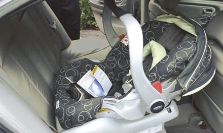 LA PROPOSTA DI LEGGE DELLA LEGA PER RENDERE OBBLIGATORI SEGGIOLINI PER AUTO CON ALLARME IN CASO DI ABBANDONO