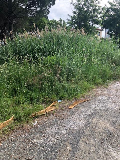 DISAGI E LAMENTELE A STAGNO PER IL MANCATO TAGLIO DELL’ERBA. L’ASSESSORE: «I LAVORI AVRANNO INIZIO A BREVE»