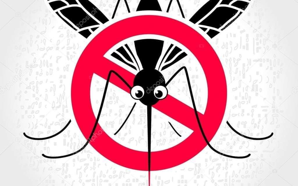 PROGRAMMATO UN INTERVENTO MIRATO ANTI-ZANZARE