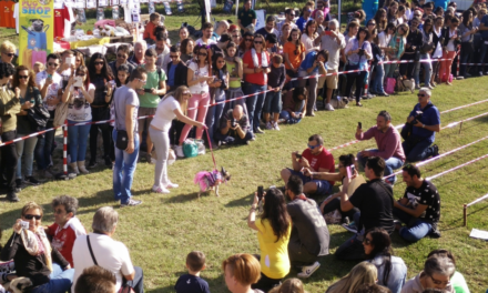 A GUASTICCE TORNANO LE UGOPIADI