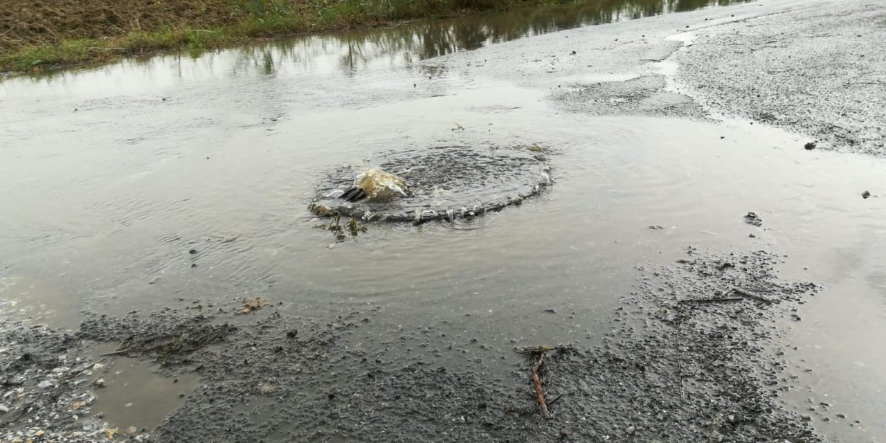 MALTEMPO, IL RACCONTO: «IL TOMBINO DAVANTI CASA MIA HA STRARIPATO: ESCREMENTI E CARTA IGIENICA IN GIARDINO»
