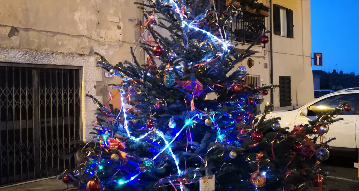 A COLOGNOLE I BAMBINI DEL PAESE ADDOBBANO L’ALBERO IN VISTA DELLE FESTIVITÀ NATALIZIE