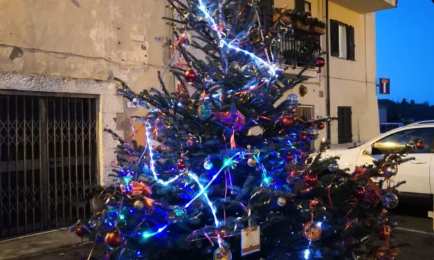 A COLOGNOLE I BAMBINI DEL PAESE ADDOBBANO L’ALBERO IN VISTA DELLE FESTIVITÀ NATALIZIE