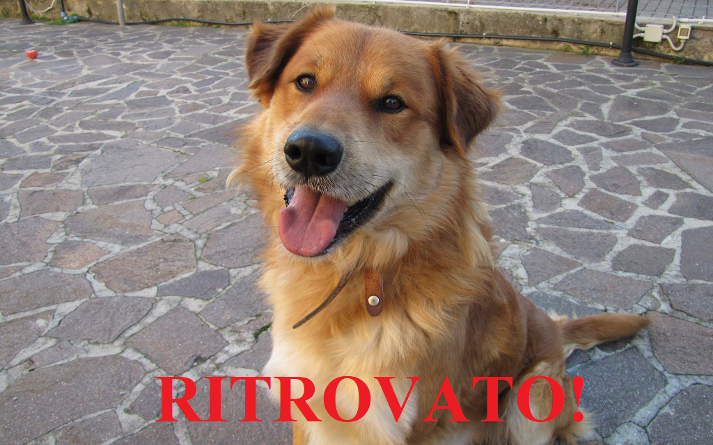 MIMMO È STATO RITROVATO A STAGNO VECCHIO