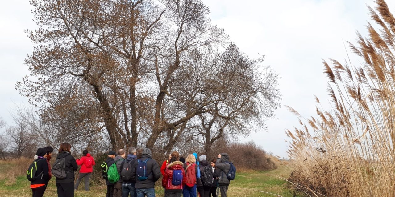 CON L’ASSOCIAZIONE GAIA IN ESCURSIONE FRA OASI DELLA CONTESSA E BOSCHI DELLA TENUTA INSUESE