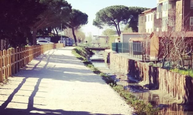 I 2 PROGETTI PER STAGNO: CASSE DI ESPANSIONE E POTENZIAMENTO IDROVORE SUL FOSSO CATERATTO