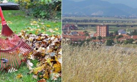 “PULISCI CON NOI I PARCHI DI GUASTICCE”: ECCO L’ULTIMA INIZIATIVA DEL GRUPPO SCOUT “GUASTICCE 1°”