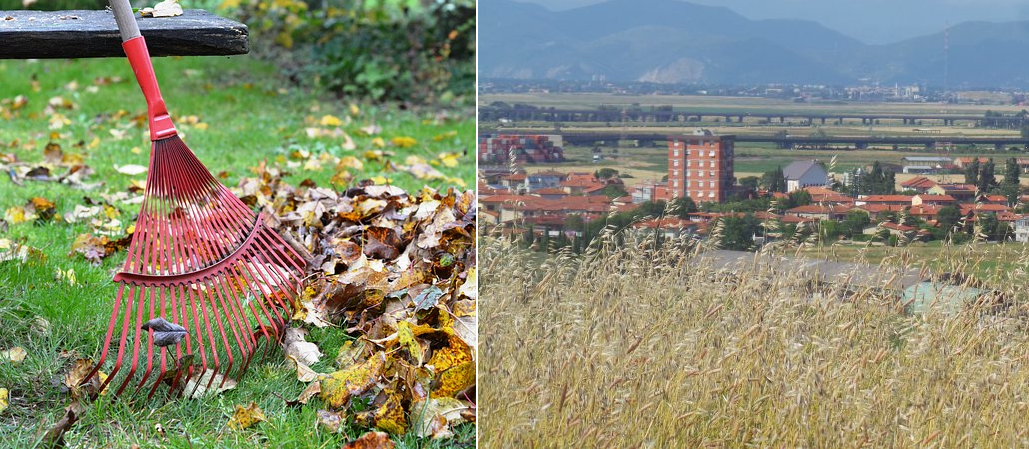 “PULISCI CON NOI I PARCHI DI GUASTICCE”: ECCO L’ULTIMA INIZIATIVA DEL GRUPPO SCOUT “GUASTICCE 1°”