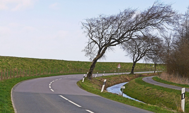 RETICOLO DI SCOLO ACQUE: EMESSA L’ORDINANZA. I PROPRIETARI DOVRANNO FARE PULIZIA E MANUTENZIONE