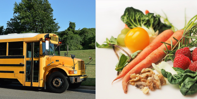 APERTE LE ISCRIZIONI AI SERVIZI SCOLASTICI DI MENSA E TRASPORTO PER L’A. S. 2019/2020