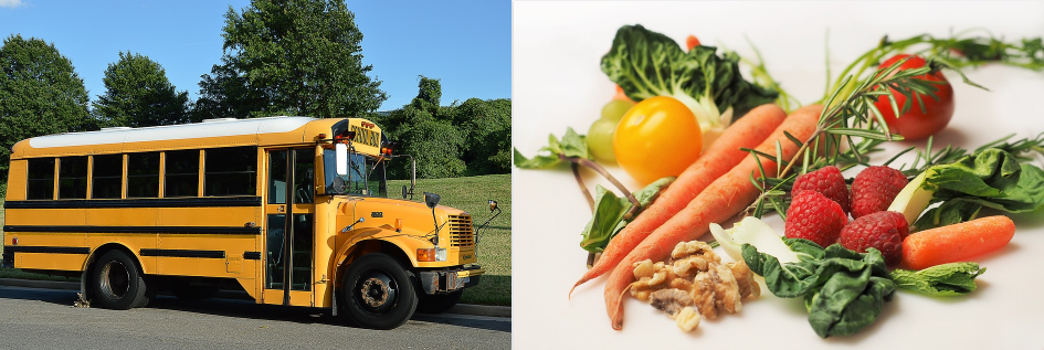 APERTE LE ISCRIZIONI AI SERVIZI SCOLASTICI DI MENSA E TRASPORTO PER L’A. S. 2019/2020