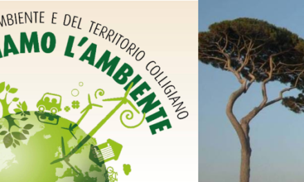 COLLESALVIAMO L’AMBIENTE: “L’INTERVENTO PINI A STAGNO NON CI PIACE. SPERIAMO SIA L’ULTIMO COLPO DI CODA”