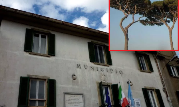 TAGLIO PINI A STAGNO: IL COMUNE ORGANIZZA UN INCONTRO PUBBLICO AL CENTRO CIVICO