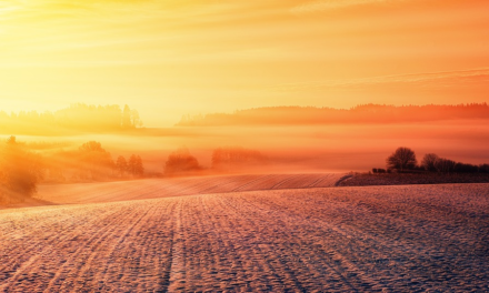 CALDO E AFA, I CONSIGLI DELLA REGIONE PER DIFENDERSI DAGLI ECCESSI CLIMATICI. PIANI DI EMERGENZA NEGLI OSPEDALI