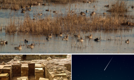 L’ASSOCIAZIONE GAIA ORGANIZZA TRE EVENTI PER VIVACIZZARE L’ESTATE COLLIGIANA