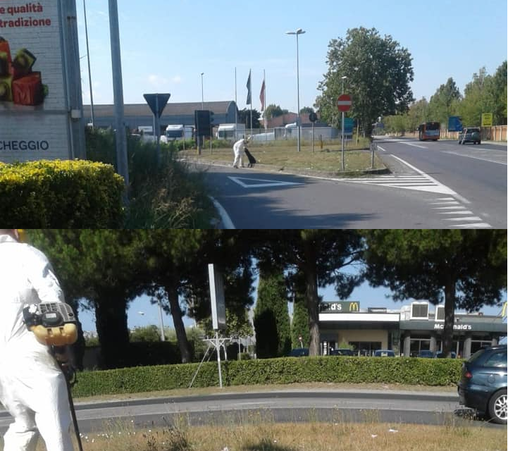 “CITTADINANZA ATTIVA”: I VOLONTARI DELLA PRO LOCO STAGNO TAGLIANO L’ERBA NELLE AREE VERDI ADOTTATE