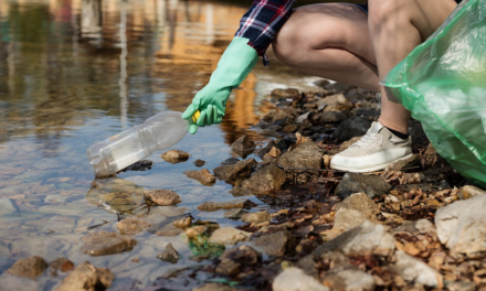 PLASTIC-FREE, LA TOSCANA RACCONTA AD IF2019 “LE IDEE ED I COMPORTAMENTI CHE CI POSSONO SALVARE”