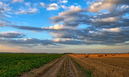 PAC 2020, LA TOSCANA CHIEDE ALL’UE DI VALORIZZARE LE DIVERSITÀ LOCALI E IL RUOLO DELLE REGIONI