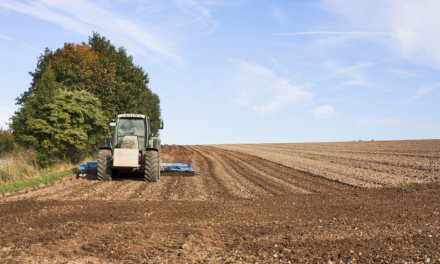 AGRICOLTURA: IN ARRIVO BANDI REGIONALI DA 20 MILIONI DI EURO
