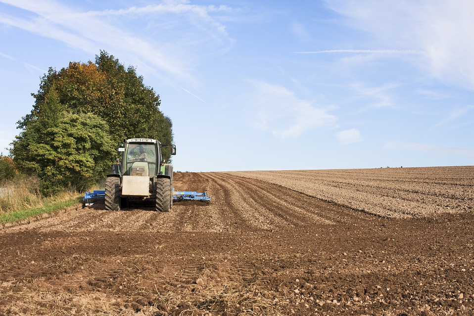 AGRICOLTURA, LA REGIONE: “PROROGATI I TERMINI PER ACCEDERE AI PRESTITI GARANTITI DAL FEI”