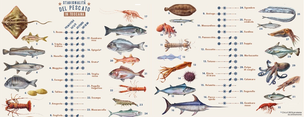 ECCO IL CALENDARIO REGIONALE PER VALORIZZARE E PRIVILEGIARE LA STAGIONALITÀ DEL PESCE IN TOSCANA